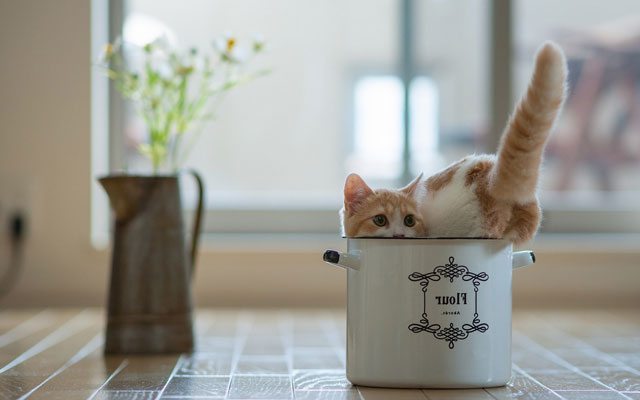 Bebe pudrasını hiç bu türlü kullandınız mı?