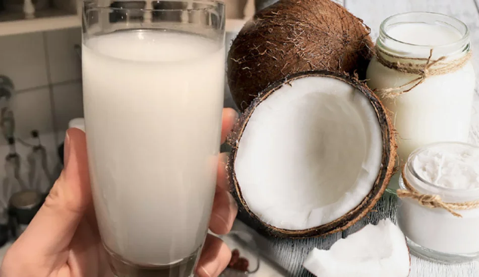 Hindistan cevizi suyu ne işe fayda? Hindistan cevizinin yararları nelerdir?
