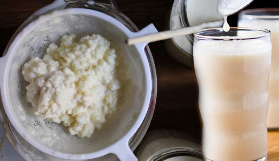 Kefir nasıl yapılır? Kefirin yararları nelerdir? Kefir suyu içmek ne işe fayda?