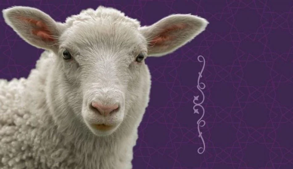 Konutta bayram hazırlığı nasıl yapılır?