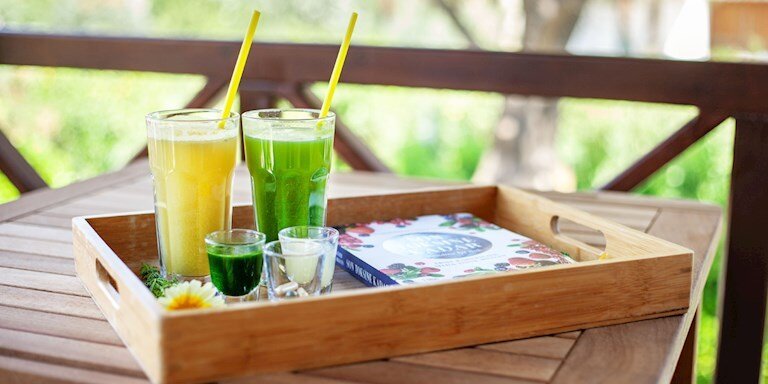 THELIFECO WELLBEING BODRUM’DA “TERAPÖTİK ZAYIFLAMA KAMPI”