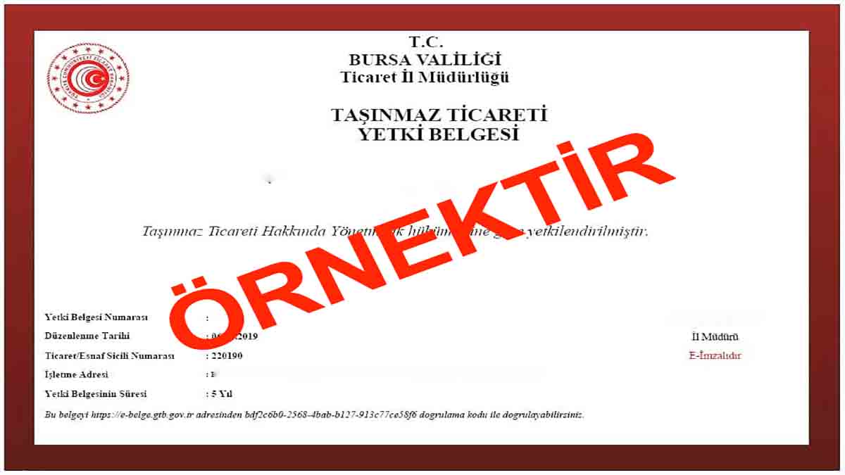 Emlak Belgesi Rehberi