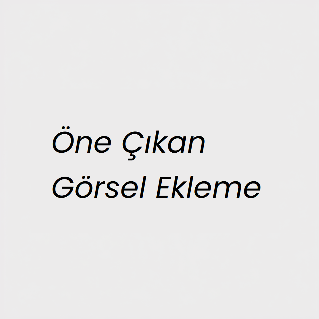 Örnek İçerik Yazısı
